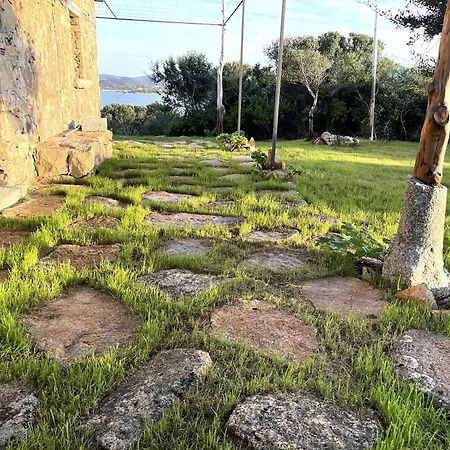 La Collinetta Sul Mare Tatil Evi