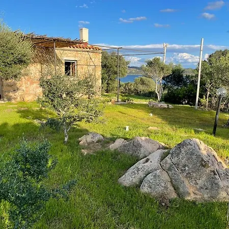 Hébergement de vacances La Collinetta Sul Mare Olbia